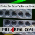Black Ant Sex Pills 31